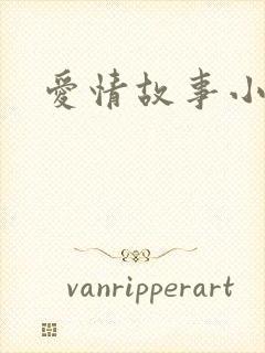 爱情故事小说
