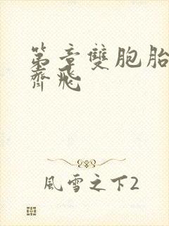 第章双胞胎姐妹齐飞