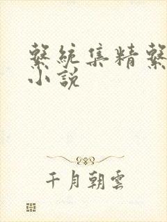 系统集精系统 小说