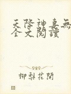 天降神妻无删减全文阅读