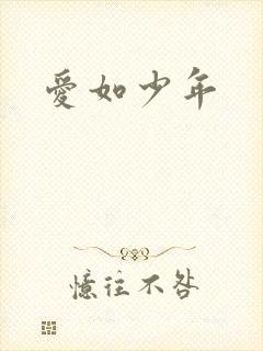 爱如少年