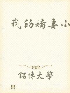 我的娇妻小说