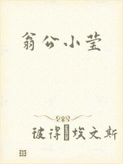翁公小莹