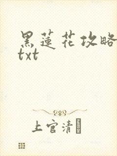 黑莲花攻略手册txt