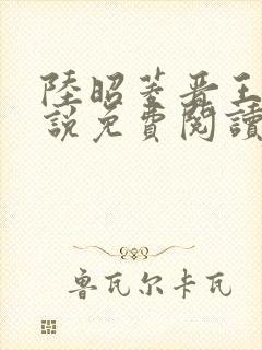 陆昭菱晋王的小说免费阅读