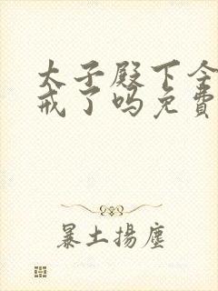 太子殿下今天破戒了吗免费阅读