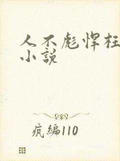 人不彪悍枉少年小说封面