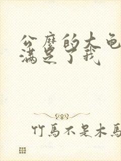 公么的大龟强大满足了我