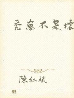 秃崽不是坏女人封面