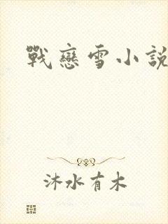 战恋雪小说封面