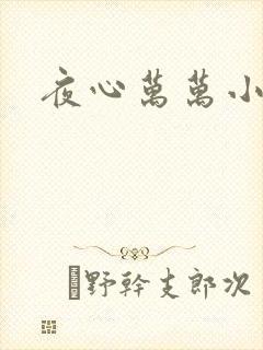 夜心万万小说