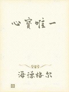 心宝唯一