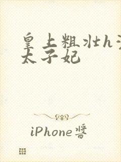 皇上粗壮h灌满太子妃封面