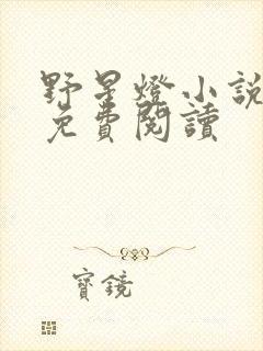 野星灯小说全文免费阅读