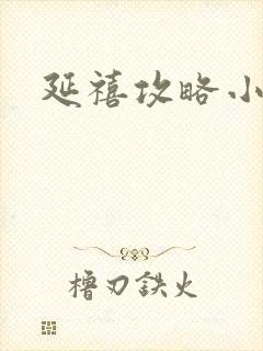 延禧攻略小说封面