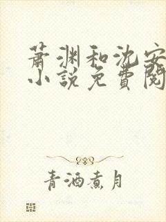 萧渊和沈安安的小说免费阅读