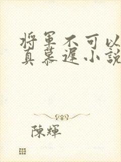 将军不可以魏云真慕迟小说笔趣阁封面