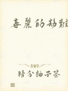 春丽的劫难封面