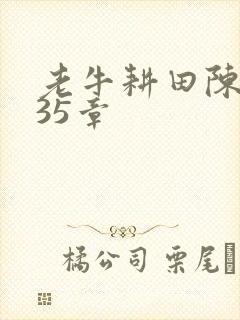 老牛耕田陈雪435章