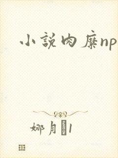 小说肉糜np