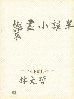 燃尽小说半截白菜