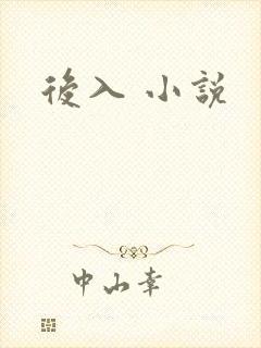 后入 小说封面