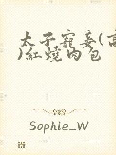太子宠妾(高肉)红烧肉包