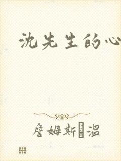 沈先生的心头宝封面