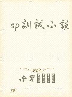 sp训诫小说