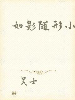如影随形小说