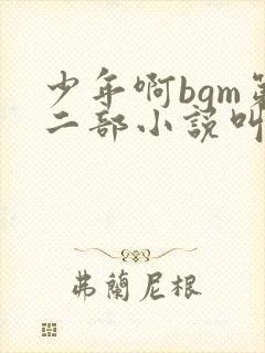 少年啊bgm第二部小说叫什么封面