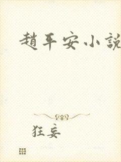 赵平安小说主角封面