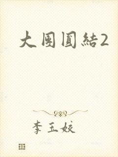 大团圆结2