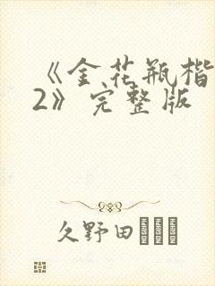 《金花瓶楷梅花2》完整版