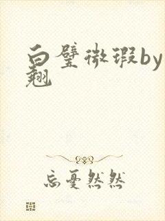 白璧微瑕by连翘封面