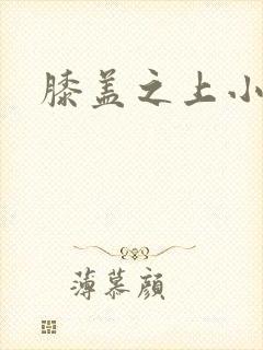 膝盖之上小说封面