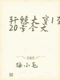 轩辕大宝1至720章全文