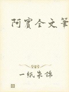 阿宾全文笔趣阁