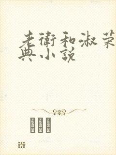 老卫和淑荣的经典小说