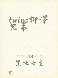 twins柳泽兄弟