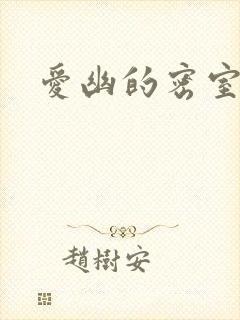 爱幽的密室小说封面