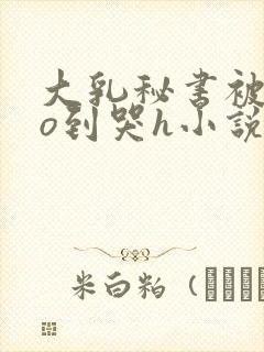 大乳秘书被cao到哭h小说封面