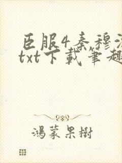 臣服4秦穆沈流txt下载笔趣阁
