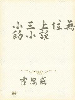 小三上位无三观的小说