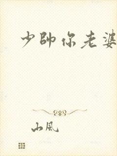 少帅你老婆