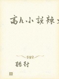 高h小说辣文封面