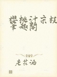 樱桃汁宋枝江野笔趣阁