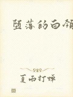 堕落的白领封面