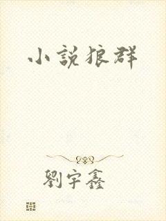 小说狼群