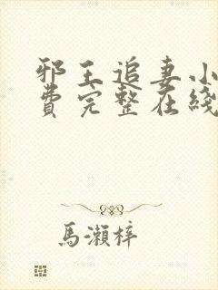 邪王追妻小说免费完整在线阅读